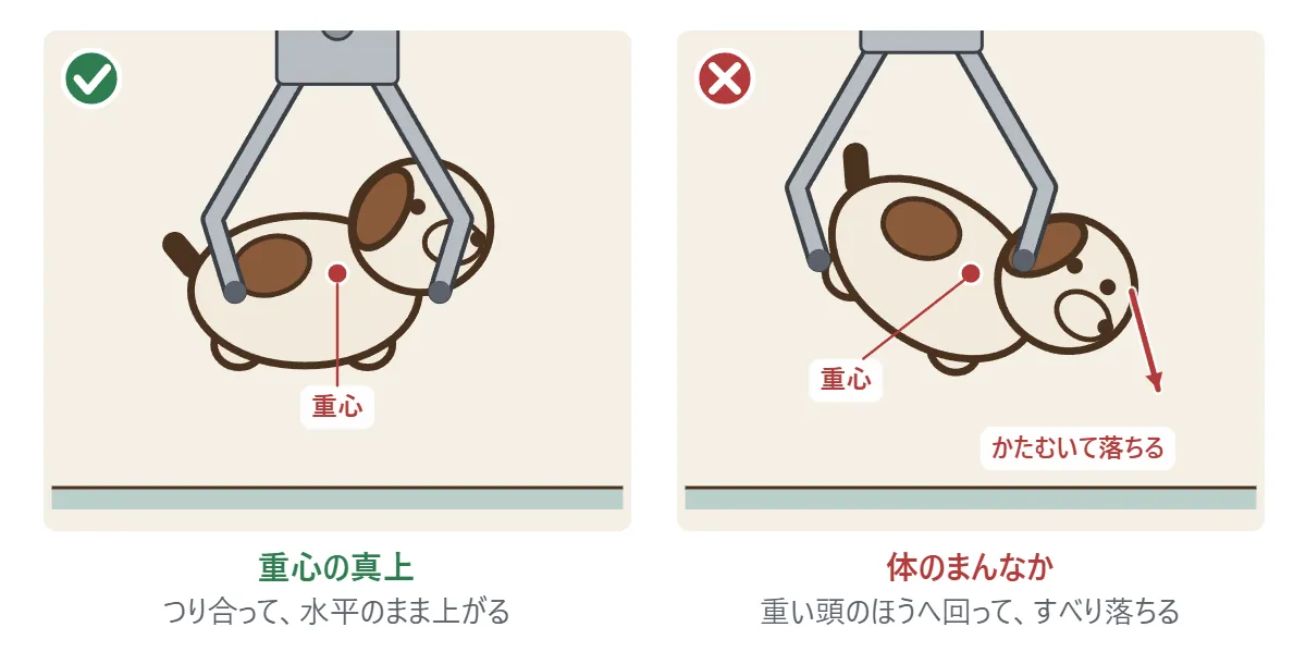 左: ねそべったいぬの重心の真上でつかむと、つり合って水平のまま上がる。右: 体のまんなかをつかむと、重い頭のほうへ回って、かたむいて落ちる