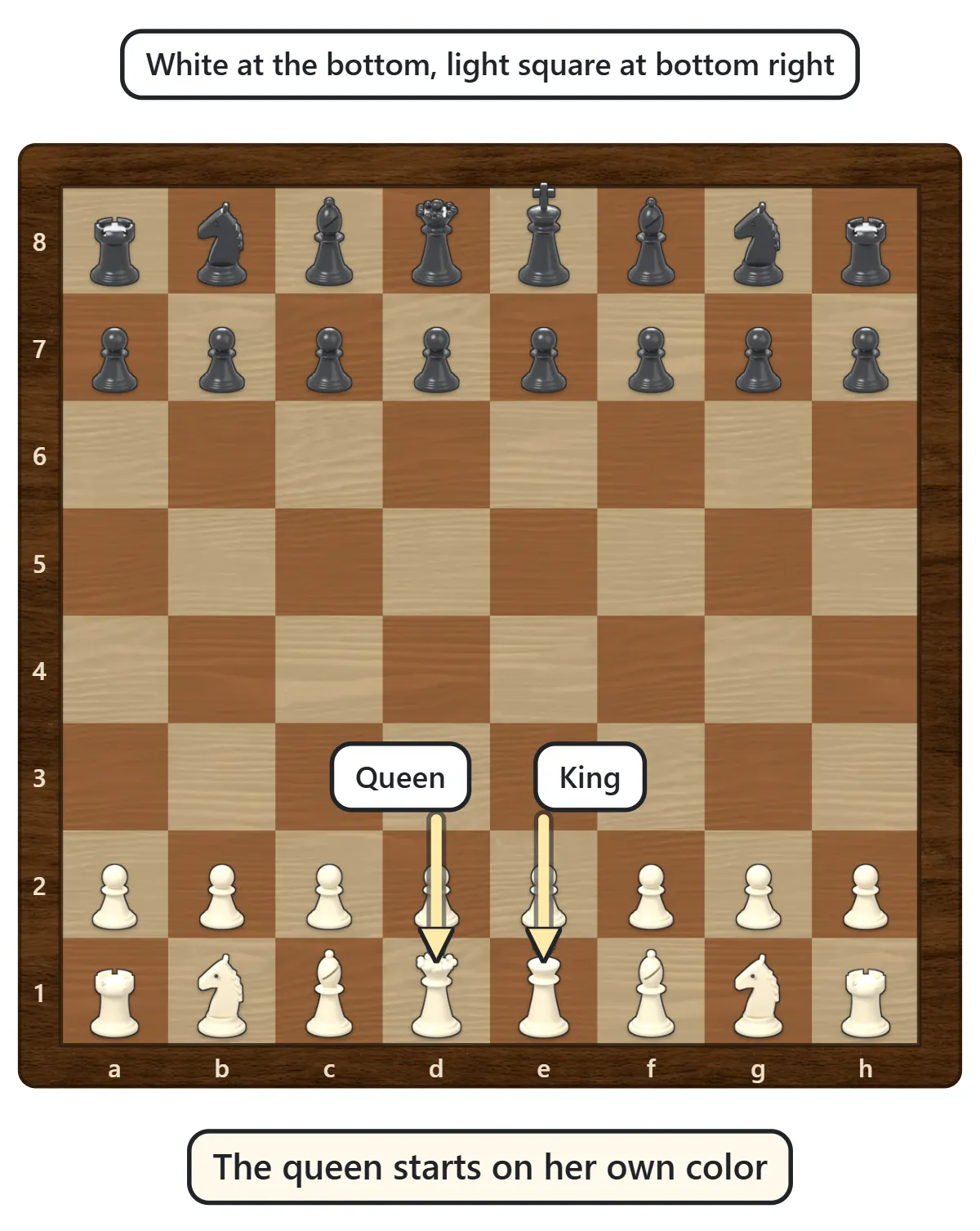 A chessboard with the 16 white pieces on the two rows nearest to White and the 16 black pieces on the far two rows; the back row from left to right is rook, knight, bishop, queen, king, bishop, knight, rook, with eight pawns in front