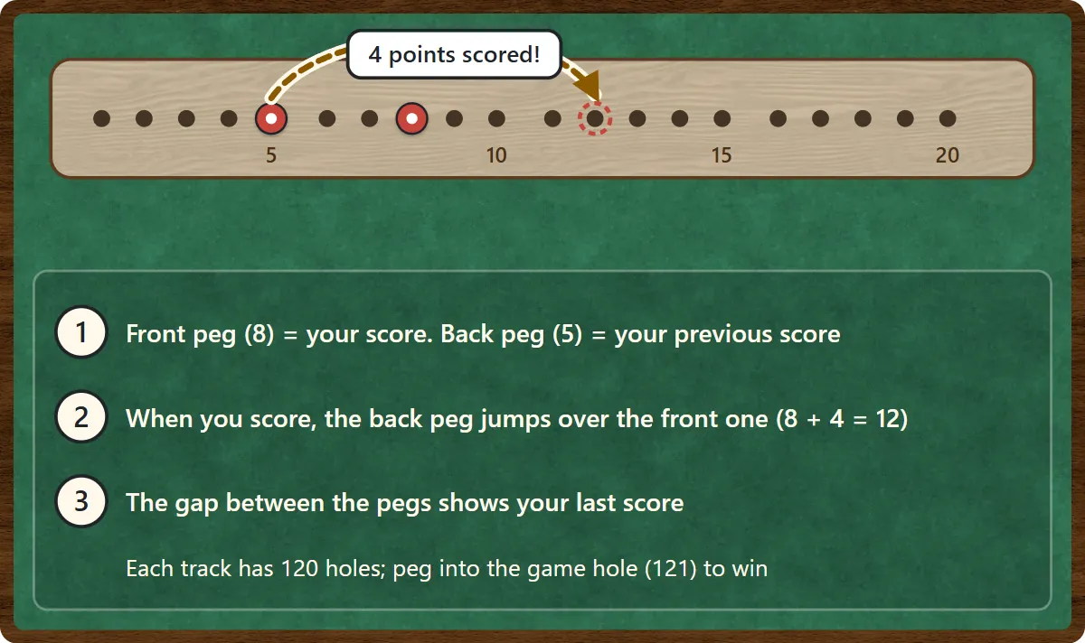 A close-up of holes 1 to 20 on the board. Red pegs sit in holes 5 and 8. After scoring 4, the back peg in hole 5 jumps over the front peg to hole 12. The front peg is your score, the back peg your previous score.