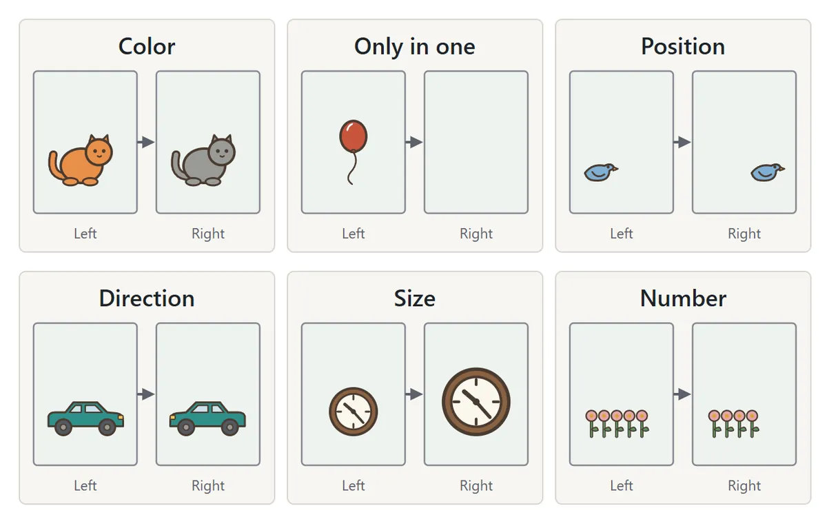 Six examples of differences. Color: an orange cat and a grey cat. Only in one: a balloon that appears in only one picture. Position: a bird on the left and on the right. Direction: a car facing right and facing left. Size: a small clock and a bigger clock. Number: five flowers and four flowers