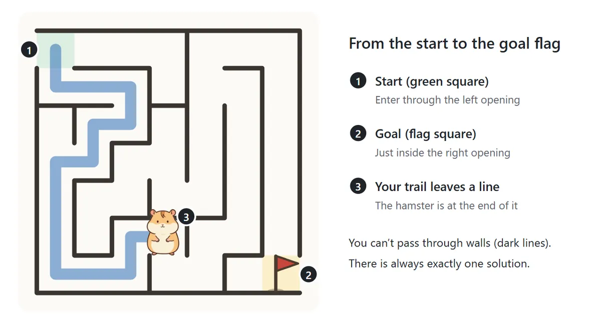 A 7 by 7 square maze. The green square at the top left is the start and the square with the flag at the bottom right is the goal. A blue line runs along the path walked so far, from the start to the hamster.