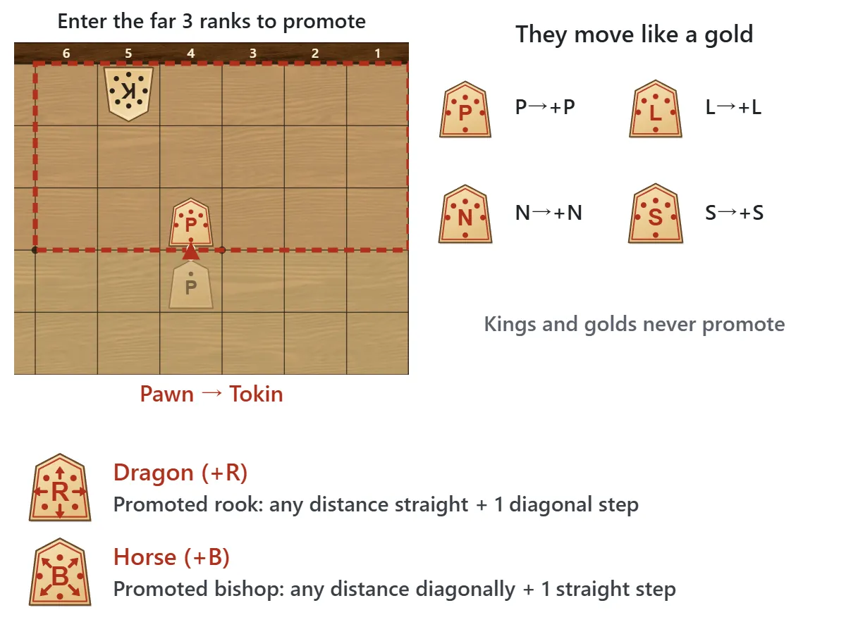 The far three ranks are the enemy camp. A pawn entering it promotes to a tokin. Promoted pawn, lance, knight and silver all move like a gold; the dragon adds one diagonal step to the rook, and the horse adds one straight step to the bishop