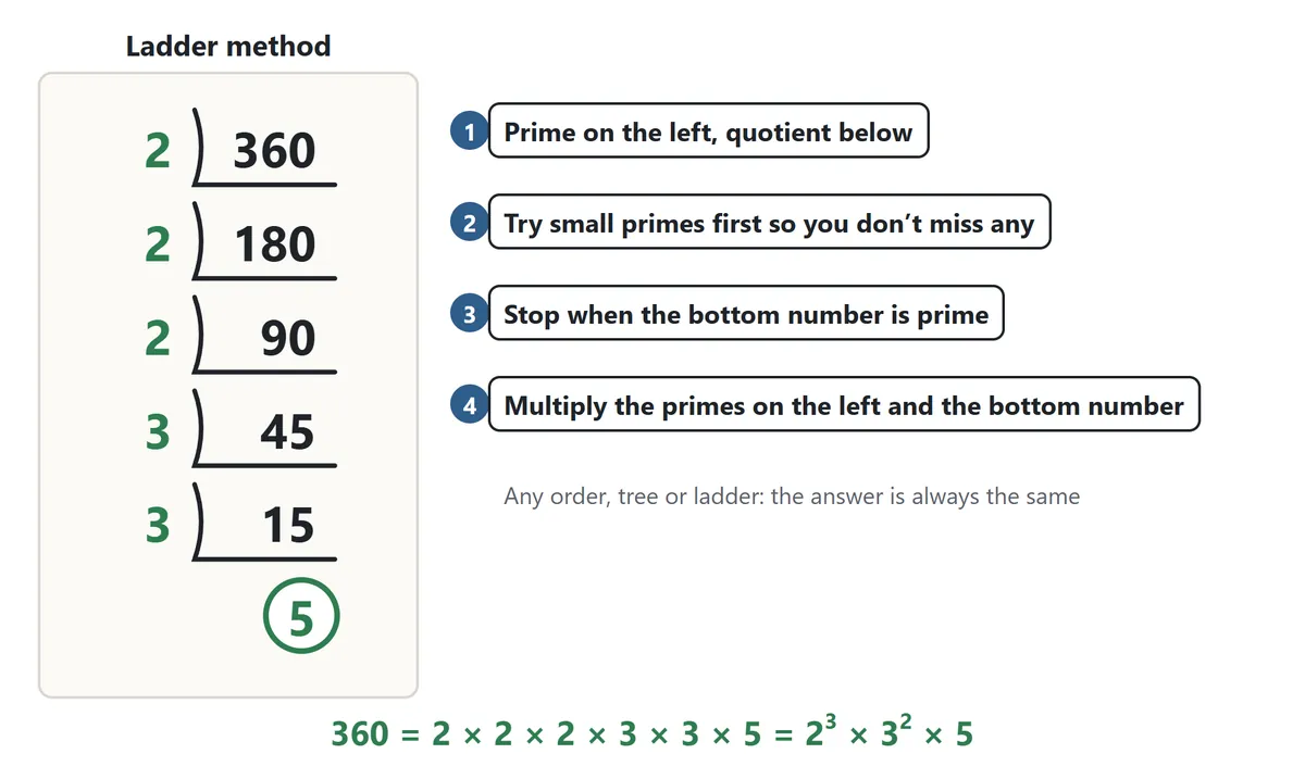 The ladder method for 360: 2 into 360, 2 into 180, 2 into 90, 3 into 45 and 3 into 15, stacked downward, with the final 5 circled. Notes: prime on the left, quotient below; try small primes first; stop when the bottom number is prime; multiply the primes on the left and the bottom number