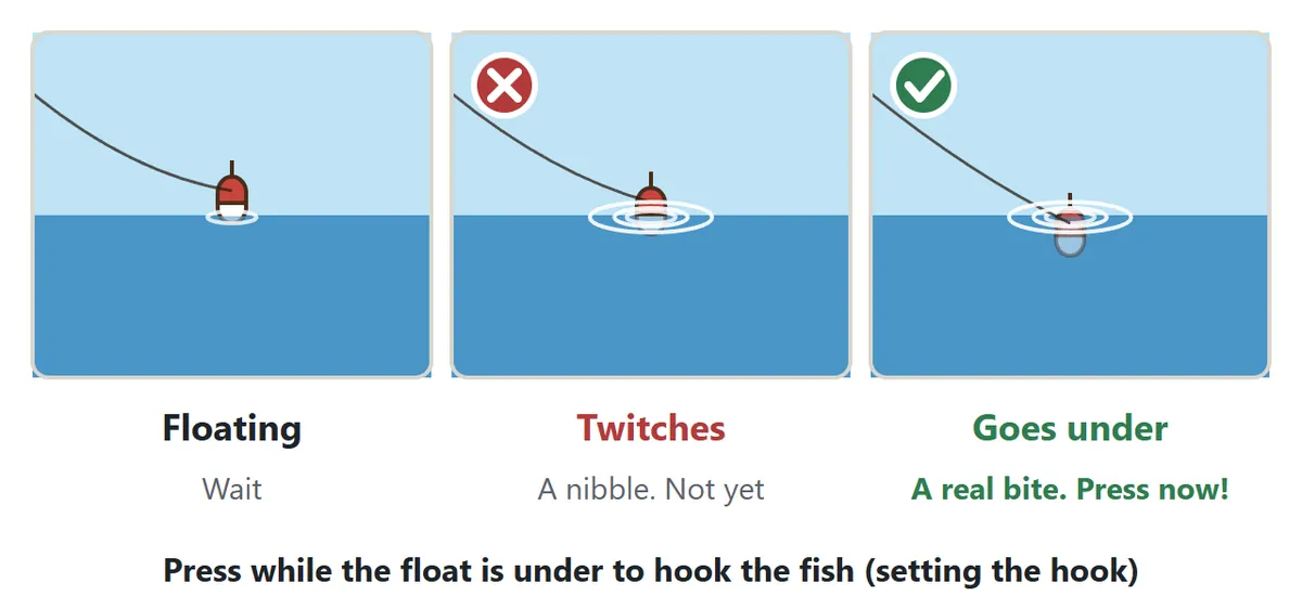 Bite diagram. While the float sits on the water, wait. When the float only twitches, it is a nibble, so do not press yet. When the float goes under, it is a real bite: press now to hook the fish