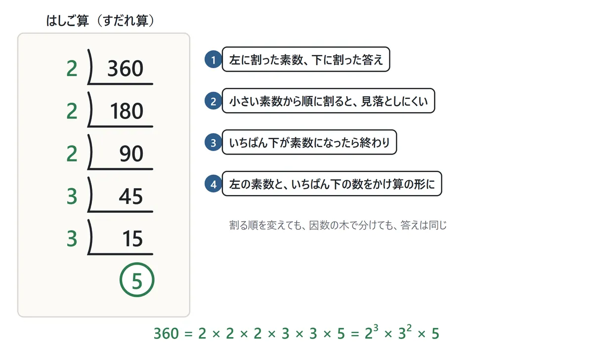 はしご算の図。2 ) 360、2 ) 180、2 ) 90、3 ) 45、3 ) 15 と割り算を下へ重ね、いちばん下の 5 が丸で囲まれている。右に、左に割った素数・下に割った答え、小さい素数から順に割ると見落としにくい、いちばん下が素数になったら終わり、左の素数といちばん下の数をかけ算の形に、の4つの説明