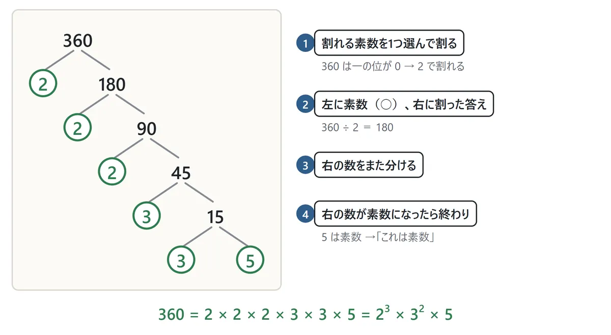 因数の木の図。360 から左下に 2、右下に 180。180 から 2 と 90、90 から 2 と 45、45 から 3 と 15、15 から 3 と 5 に分かれ、素数はすべて丸で囲まれている。下に 360 = 2 × 2 × 2 × 3 × 3 × 5 = 2の3乗 × 3の2乗 × 5