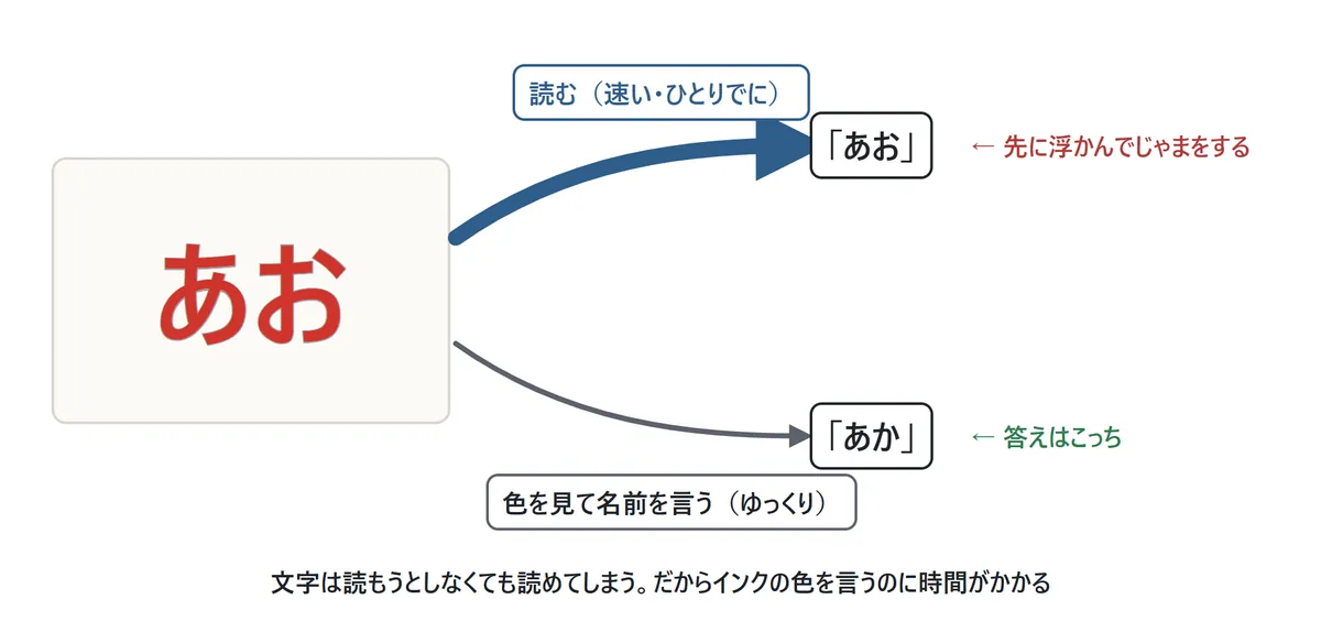 「あお」と書いた赤いインクの文字から、2本の矢印が出ている。太い矢印は「読む(速い・自動)」で「あお」へ、細い矢印は「色を見る(ゆっくり)」で「あか」へ。2つがぶつかって迷う